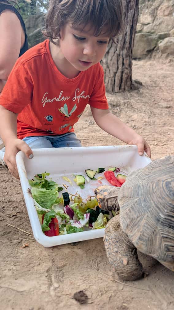 Experiència de cuidador per un dia a Granja Natura