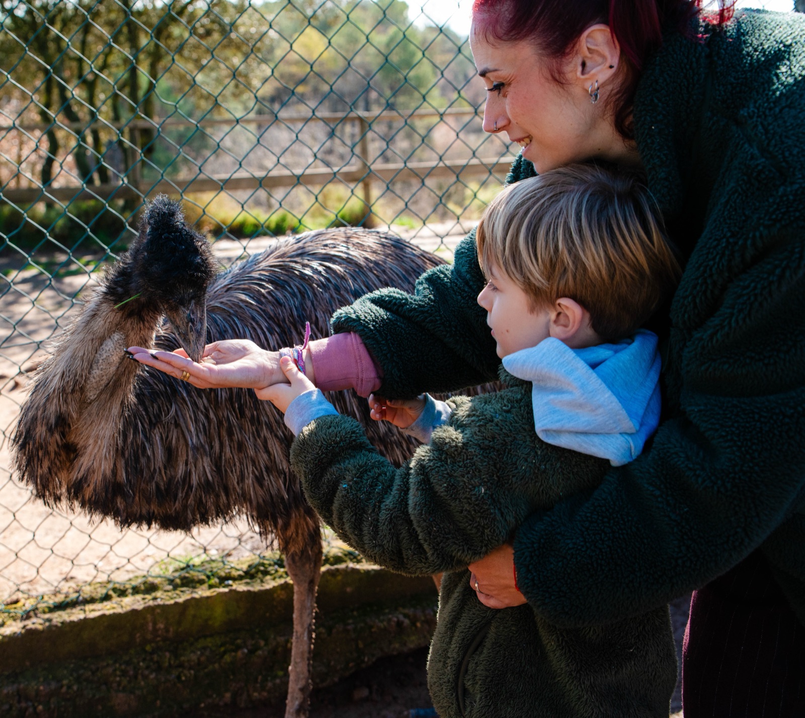 Família alimentant un emú a Granja Natura — targeta regal